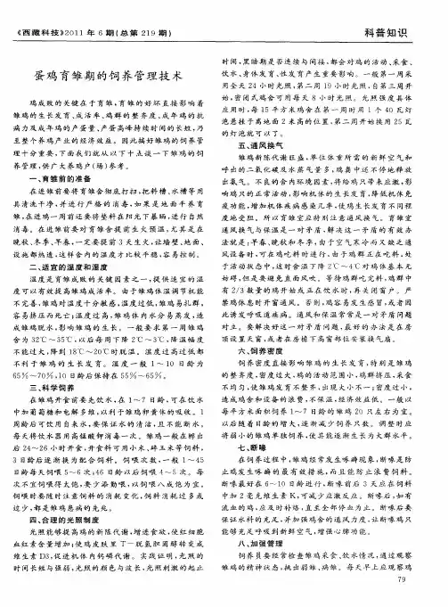 蛋鸡育雏期的饲养管理技术