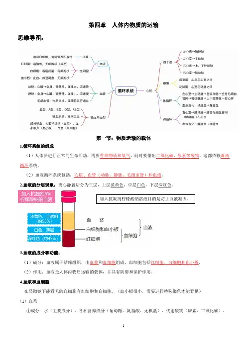 第四章人体内物质的运输知识点汇总2023-2024学年鲁科版生物七年级上册