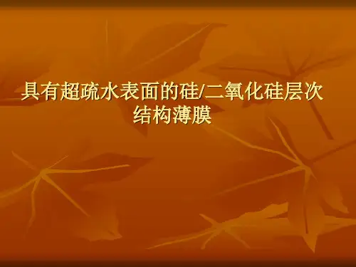 具有超疏水表面的硅二氧化硅层次结构薄膜最终