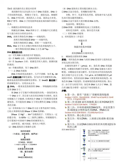 吴乃虎《基因工程原理》4-6知识点总结