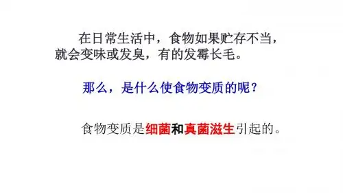 浙教版 细菌和真菌的繁殖PPT课件1