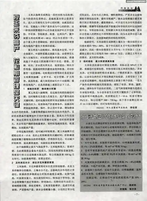 夏玉米夺高产  花粒期管理是关键