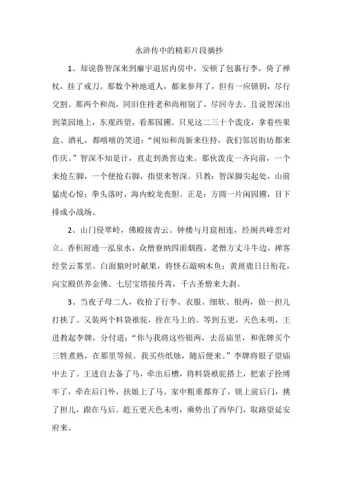 水浒传中的精彩片段摘抄