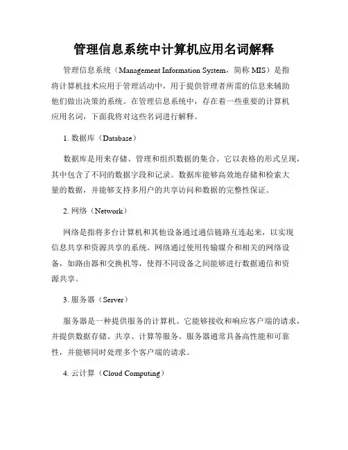 管理信息系统中计算机应用名词解释