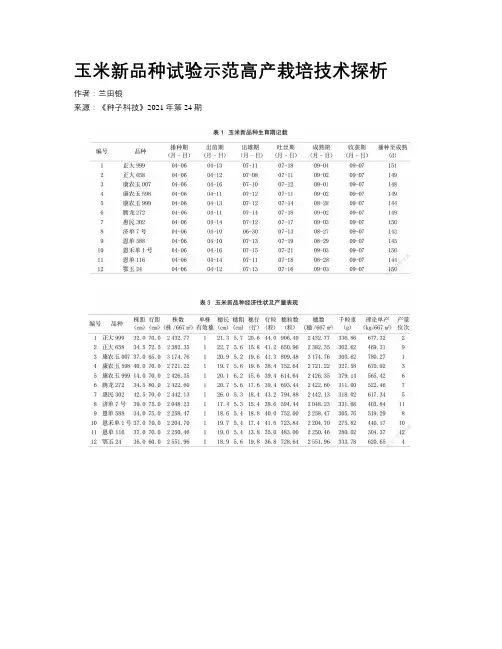 玉米新品种试验示范高产栽培技术探析