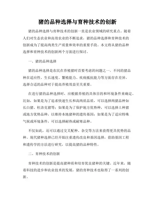 猪的品种选择与育种技术的创新