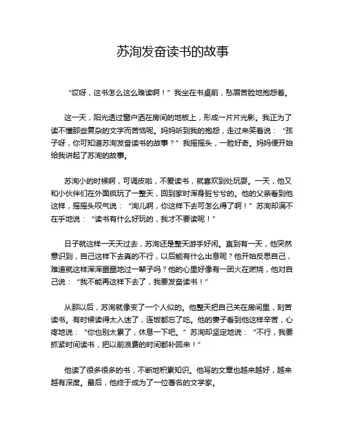苏洵发奋读书的故事