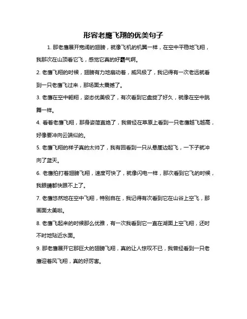 形容老鹰飞翔的优美句子