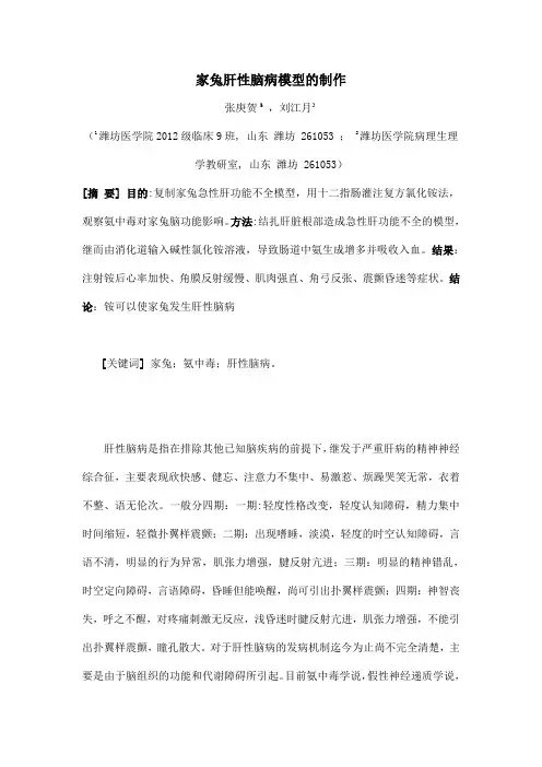 家兔肝性脑病模型的制作