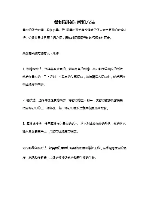 桑树架接时间和方法