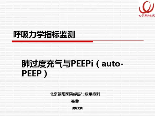 呼吸力学指标监测：肺过度充气与PEEPi