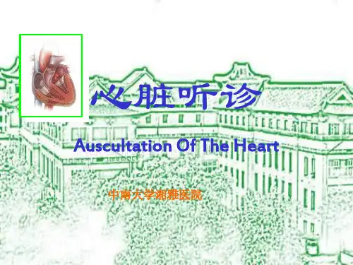 心脏听诊(清晰详实)