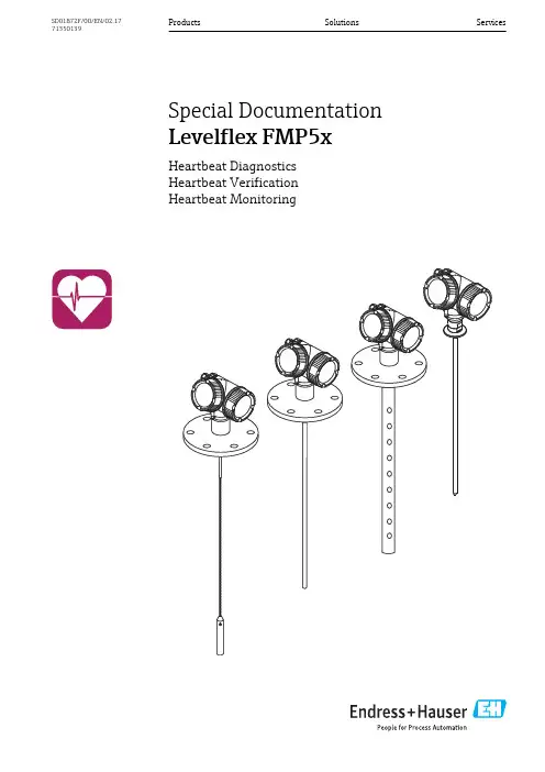Levelflex FMP5x 产品说明书