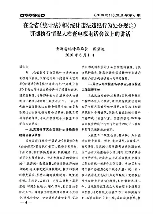在全省《统计法》和《统计违法违纪行为处分规定》贯彻执行情况大检查电视电话会议上的讲话