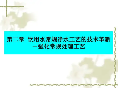 第二章 饮用水常规工艺的技术革新2012