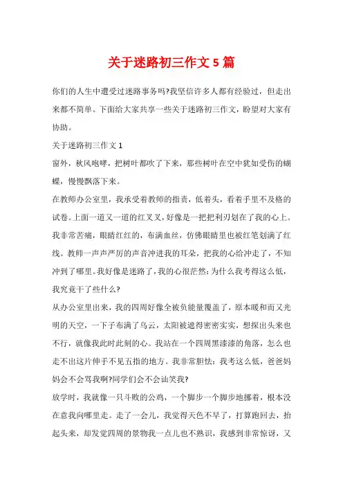 关于迷路初三作文5篇