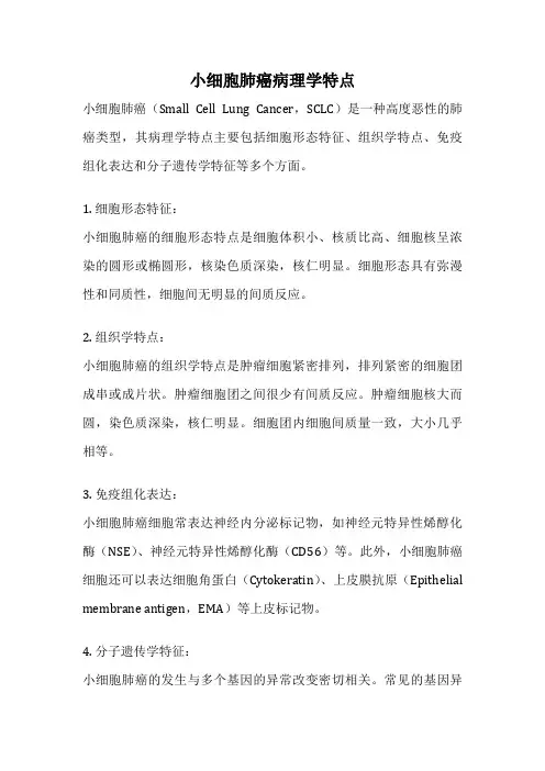 小细胞肺癌病理学特点