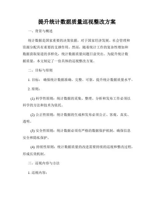 提升统计数据质量巡视整改方案