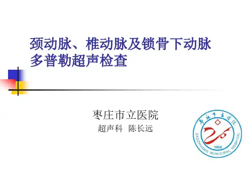 颈动脉、椎动脉频谱