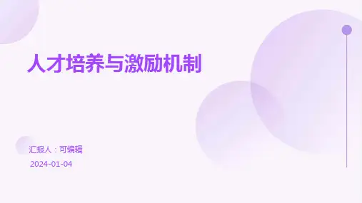 人才培养与激励机制