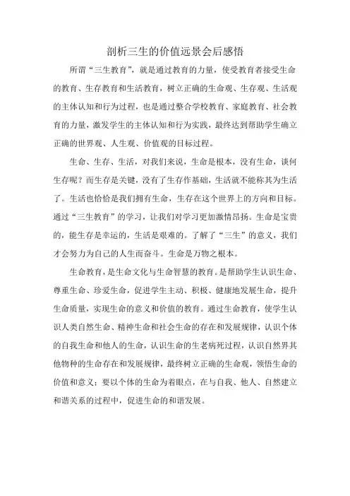 剖析三生的价值远景会后感悟