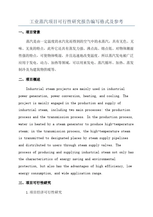 工业蒸汽项目可行性研究报告编写格式及参考