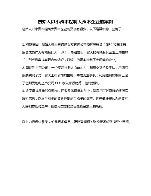 创始人以小资本控制大资本企业的案例