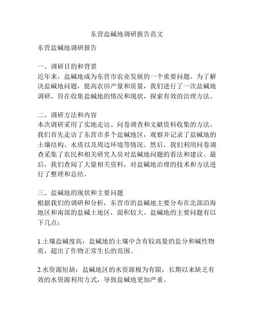 东营盐碱地调研报告范文