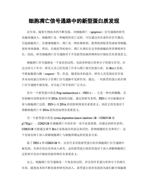细胞凋亡信号通路中的新型蛋白质发现