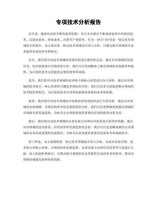 专项技术分析报告