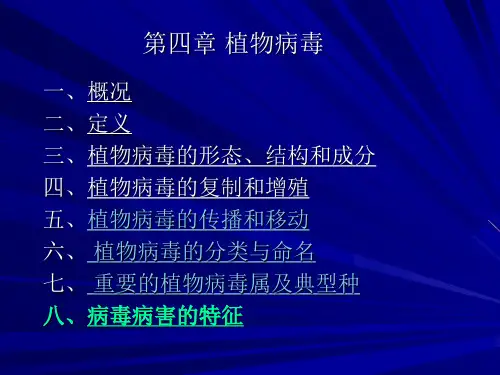 第四章植物病毒