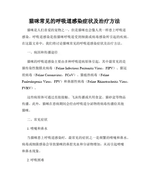猫咪常见的呼吸道感染症状及治疗方法