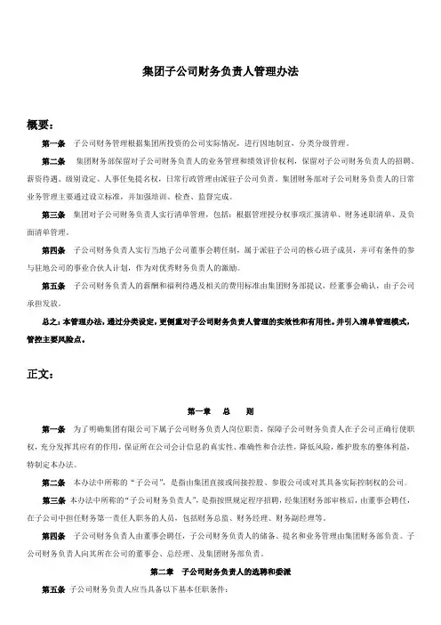 集团公司财务人员管理办法(全)