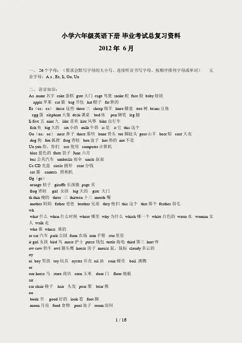 (人教版)六年级英语下册-毕业考试总复习资料