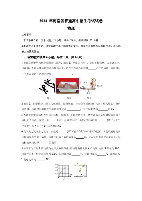2024年河南省中考物理试题(含解析)