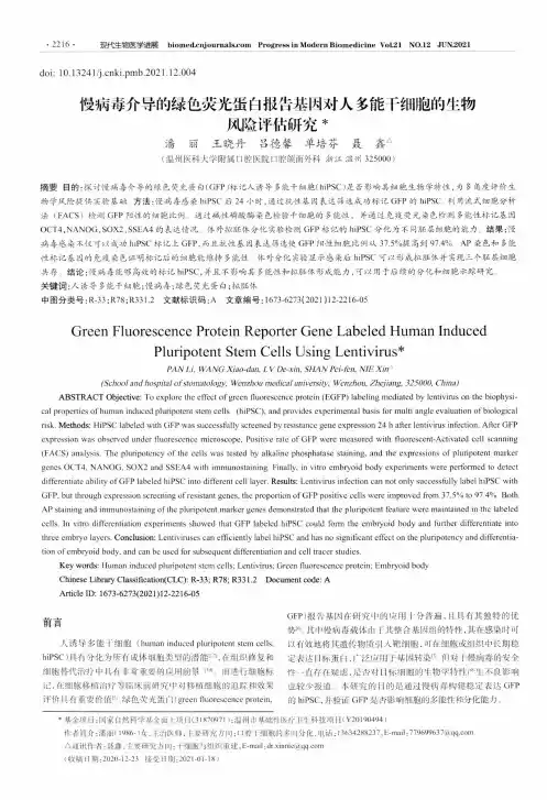 慢病毒介导的绿色荧光蛋白报告基因对人多能干细胞的生物风险评估研究