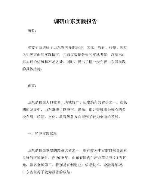 调研山东实践报告