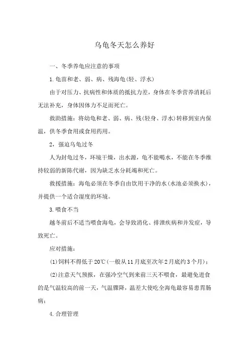 乌龟冬天怎么养好
