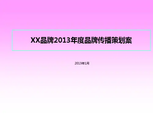 某品牌2013年度品牌营销方案