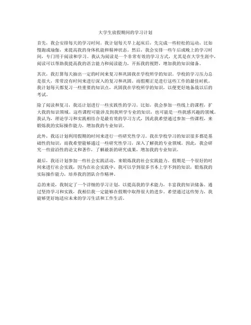 大学生放假期间的学习计划