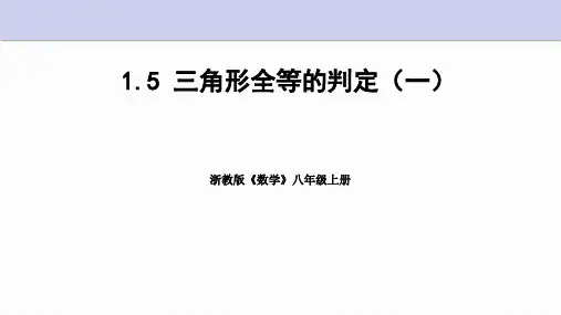1.5 三角形全等的判定 第1课时 浙教版数学八年级上册课件(共24张PPT)