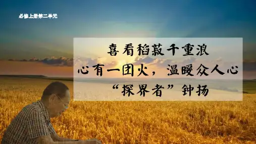 《喜看稻菽千重浪》《心有一团火,温暖众人心》《“探界者”钟扬》联读课件-统编版高中语文必修上册