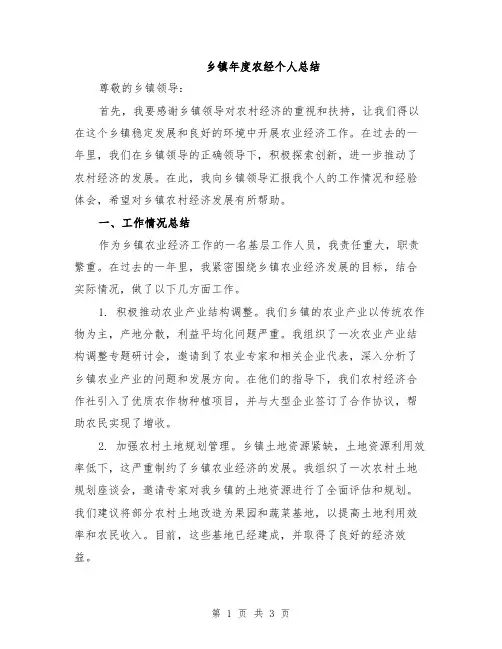 乡镇年度农经个人总结