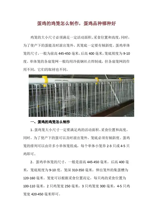 蛋鸡的鸡笼怎么制作,蛋鸡品种哪种好