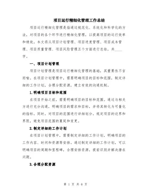 项目运行精细化管理工作总结
