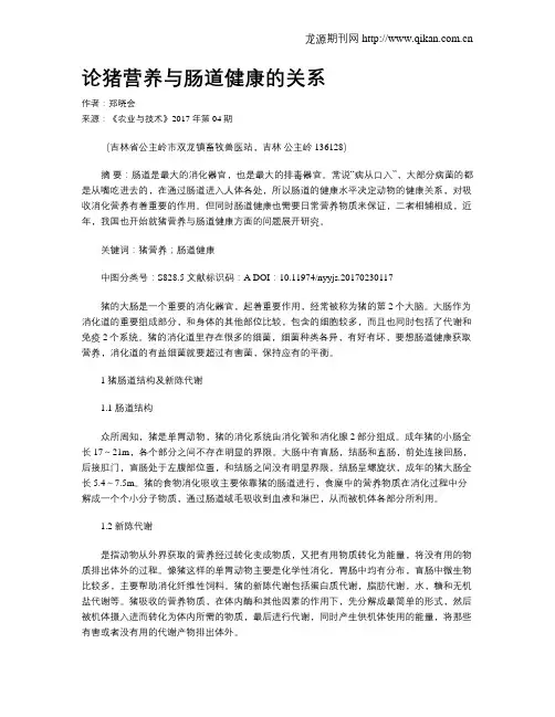 论猪营养与肠道健康的关系