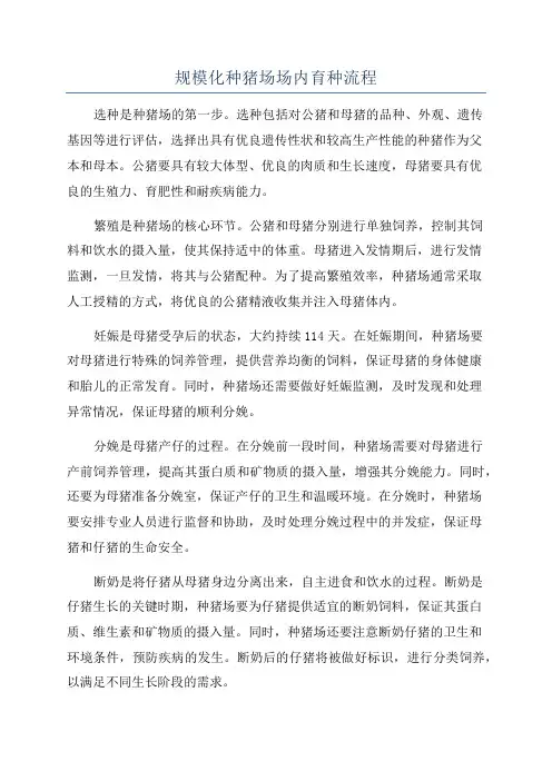 规模化种猪场场内育种流程