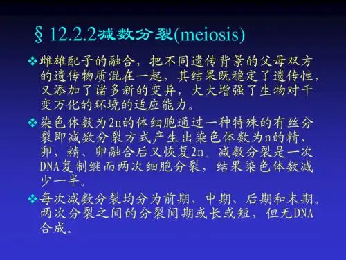 减数分裂(细胞增殖及其调控)