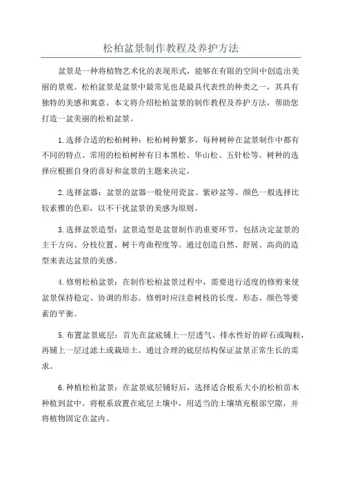 松柏盆景制作教程及养护方法