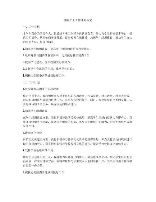团委个人工作计划范文